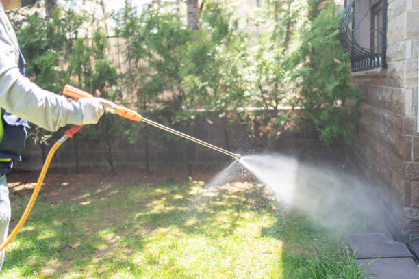 Best Local Pest Control Services  in Celina, OH